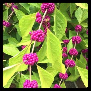 8 dollar sale today only!